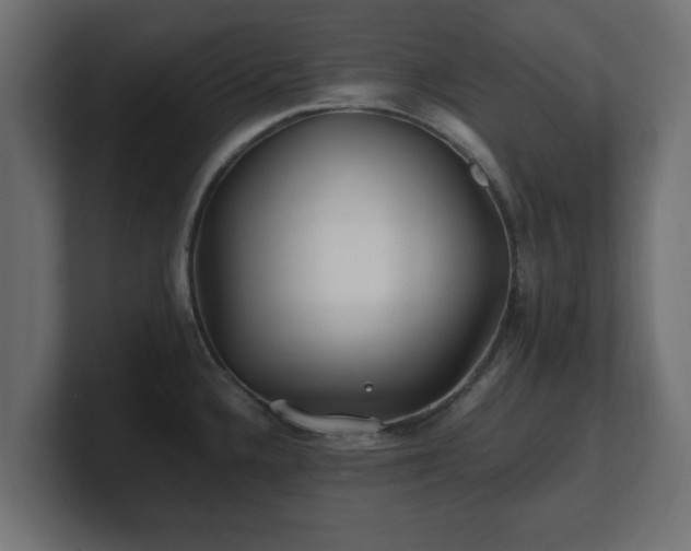 X0000100761336200806261556