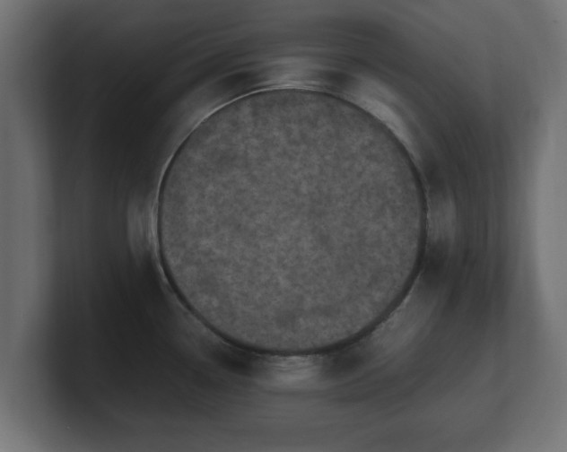 X0000100761338200806261556