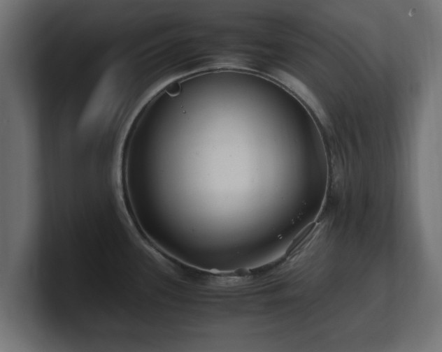 X0000100761339200806261556