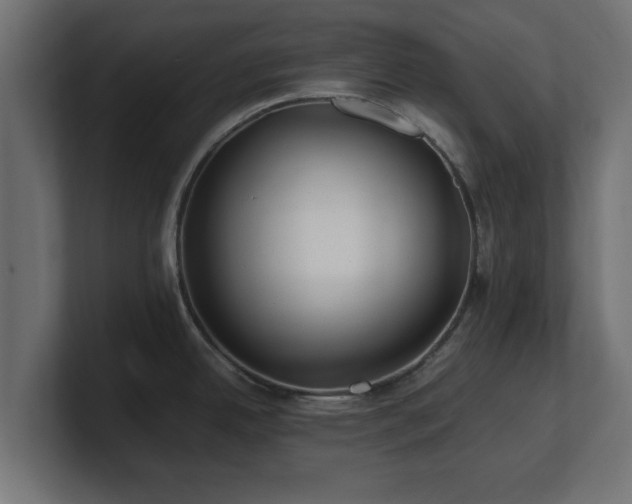 X0000100761342200806261557