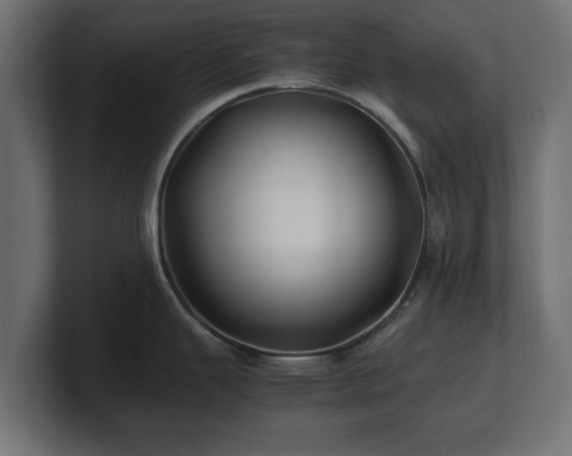 X0000100761343200806261557