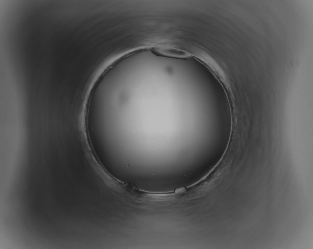 X0000100761344200806261557