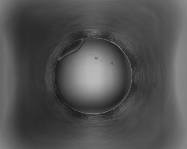 X0000100761345200806261556