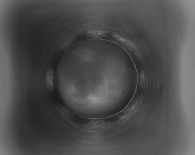 X0000100761346200806261556