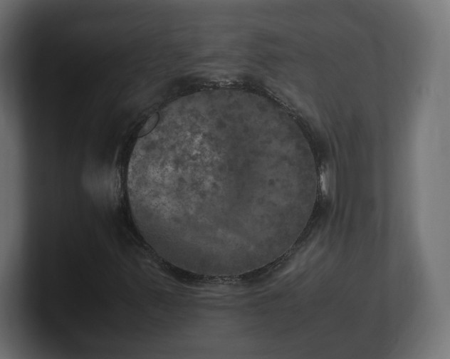 X0000100761347200806261556