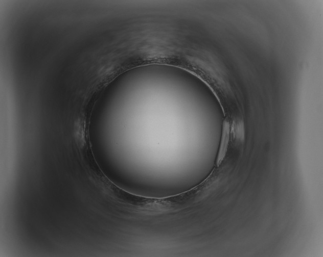 X0000100761348200806261556