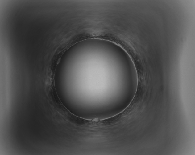 X0000100761349200806261556