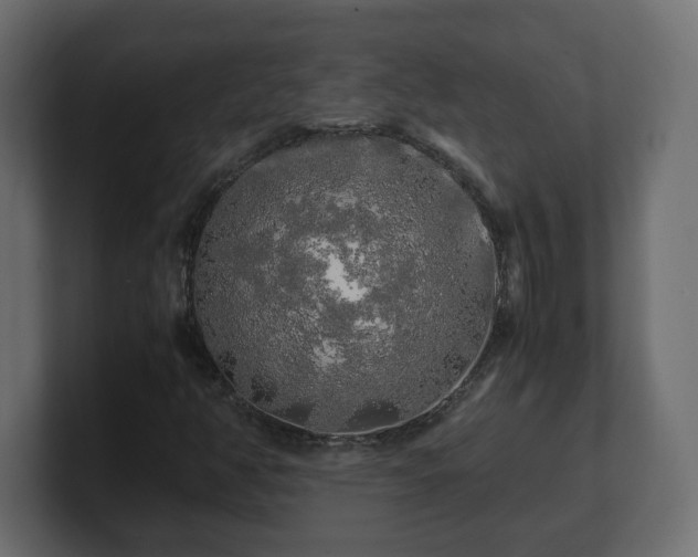 X0000100761350200806261556