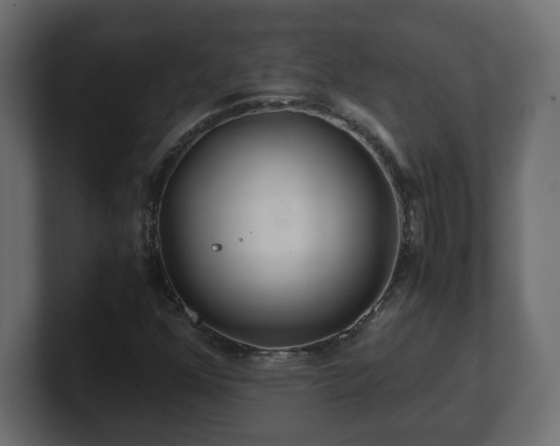 X0000100761352200806261556