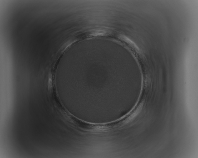 X0000100761353200806261556