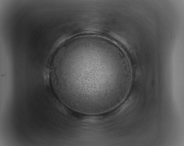 X0000100761355200806261556