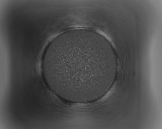 X0000100761357200806261556