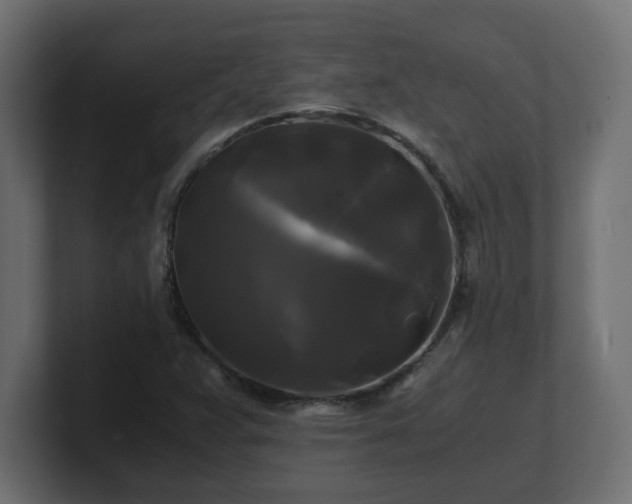 X0000100761359200806261556