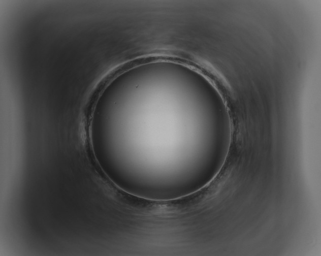 X0000100761360200806261556