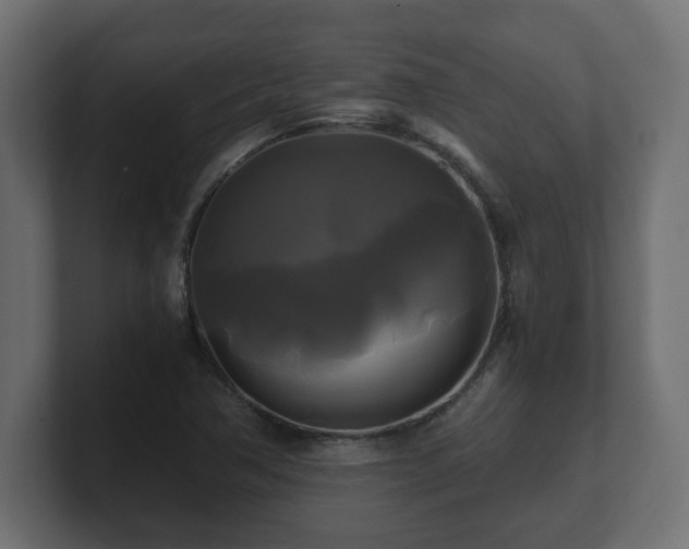 X0000100761362200806261556