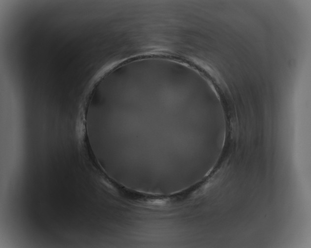 X0000100761363200806261556