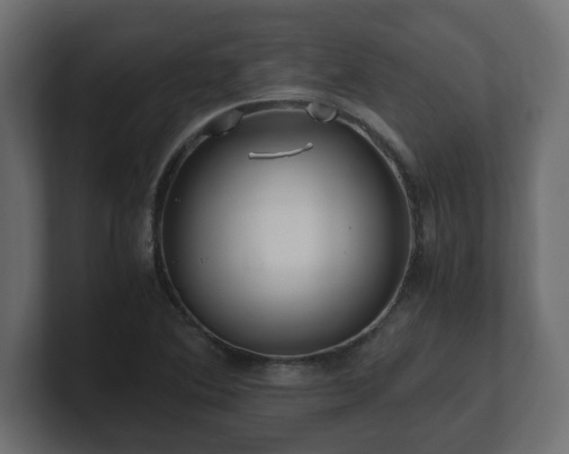 X0000100761364200806261556