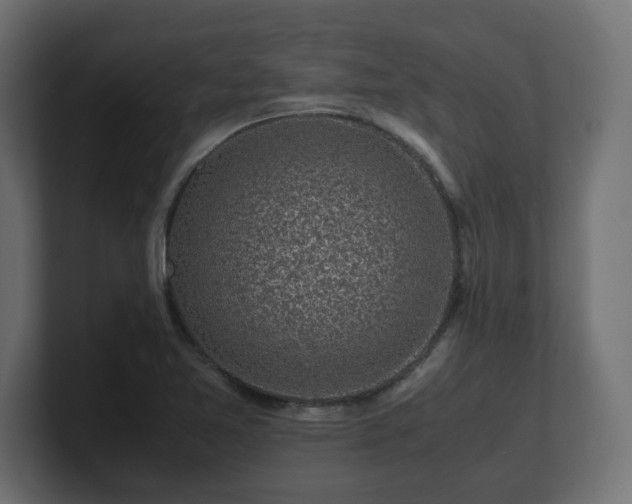 X0000100761365200806261556