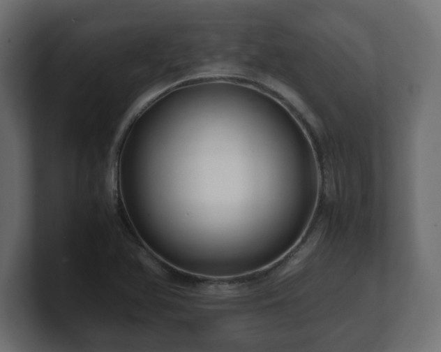 X0000100761366200806261556