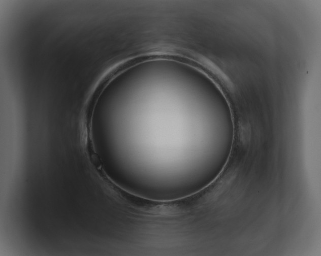 X0000100761368200806261556