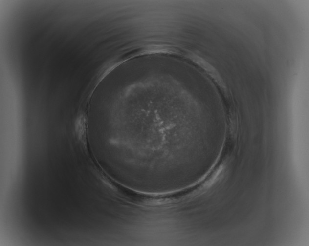 X0000100761369200806261556