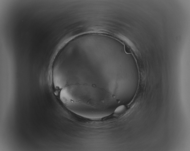 X0000100761371200806261556