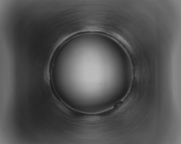 X0000100761372200806261556