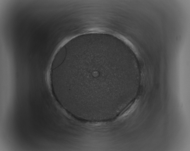 X0000100761373200806261556