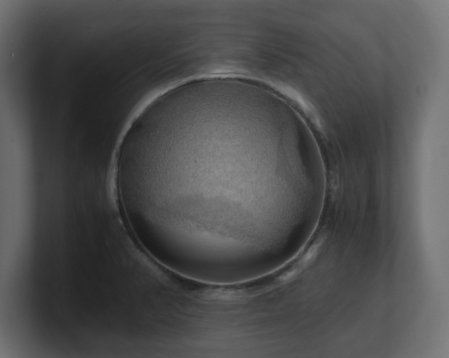 X0000100761374200806261556