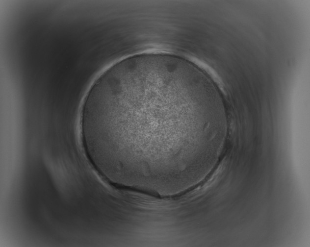 X0000100761375200806261556