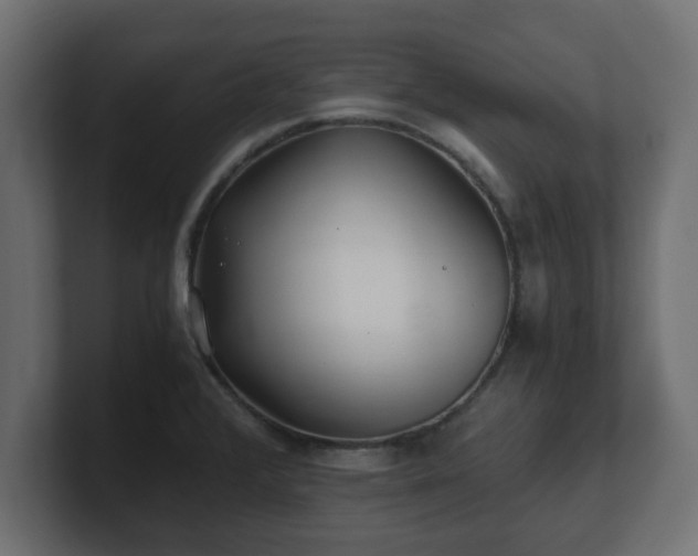 X0000100761376200806261556