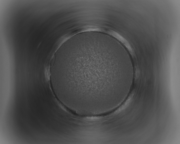 X0000100761377200806261555