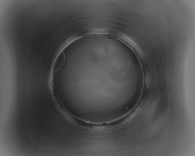 X0000100761378200806261555