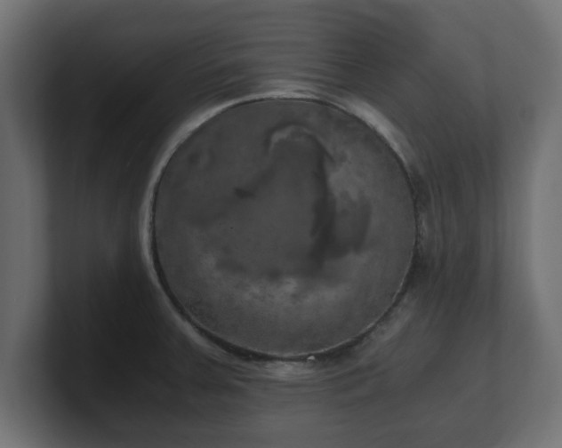 X0000100761379200806261555