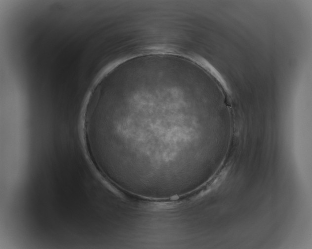 X0000100761381200806261555