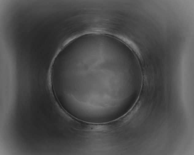 X0000100761382200806261555