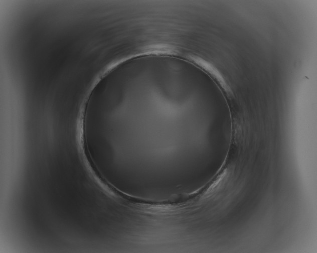 X0000100761383200806261555