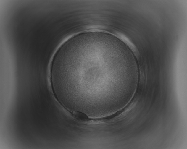 X0000100761384200806261555