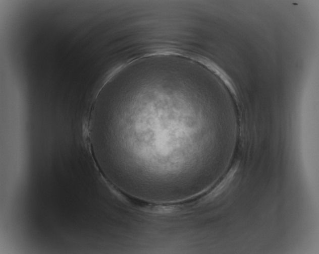 X0000100761385200806261555