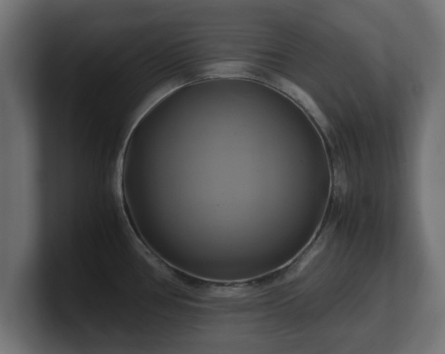 X0000100761386200806261555