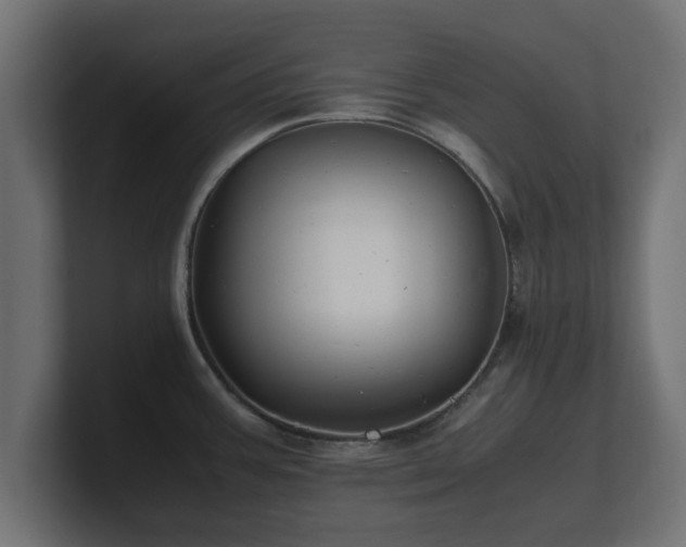 X0000100761387200806261555