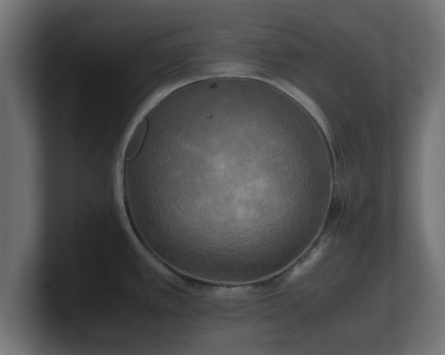 X0000100761389200806261555