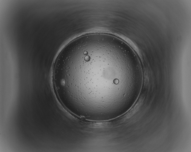 X0000100761390200806261555