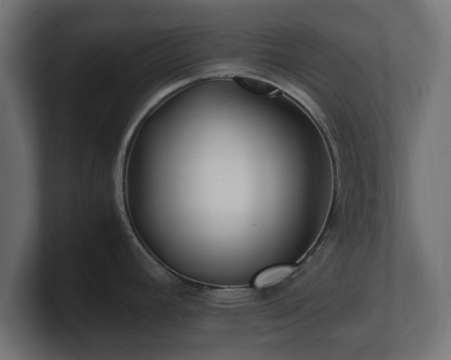 X0000100761392200806261555