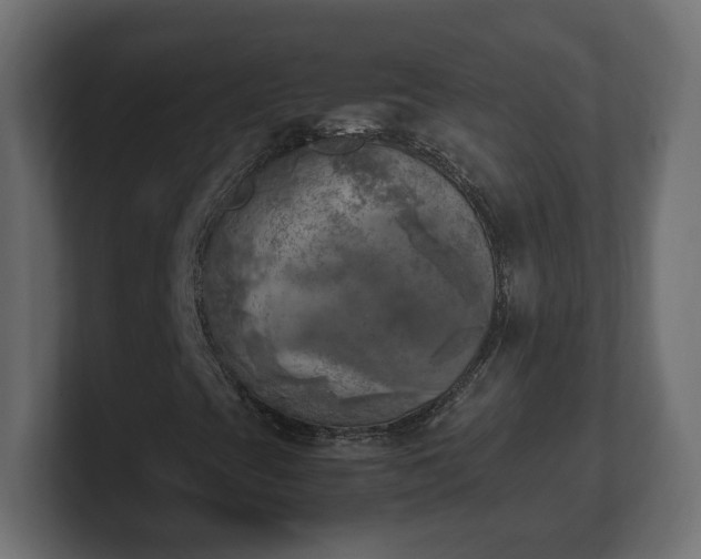 X0000100761393200806261555