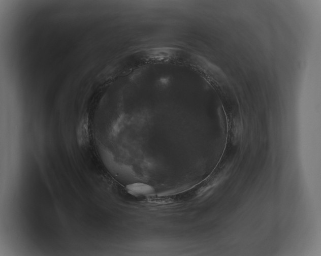 X0000100761394200806261555