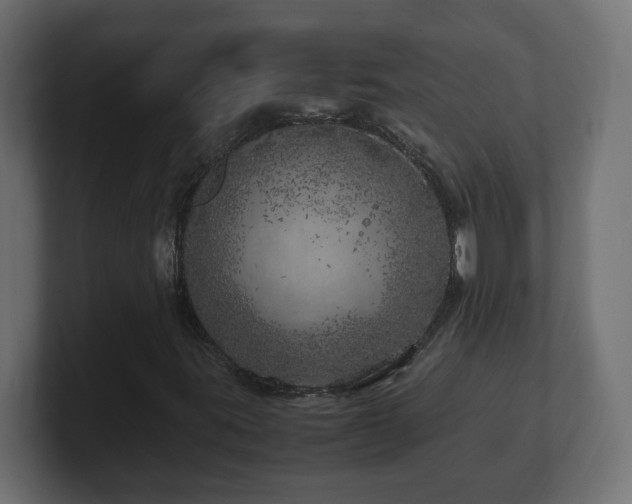 X0000100761395200806261555