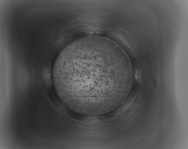 X0000100761396200806261555