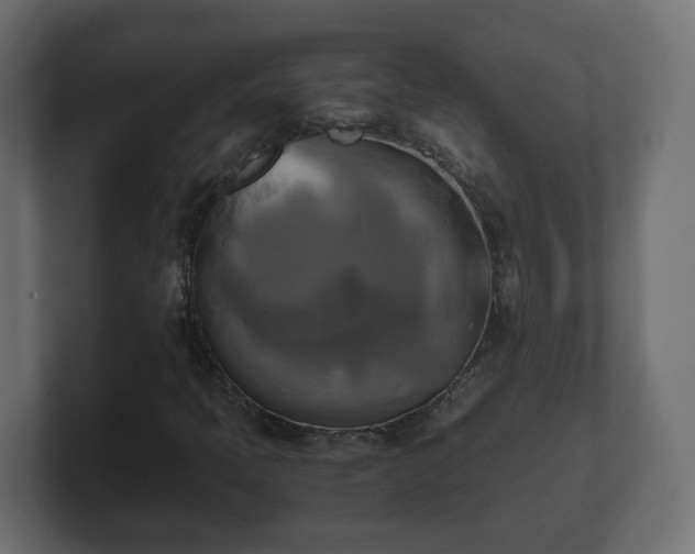 X0000100761397200806261555