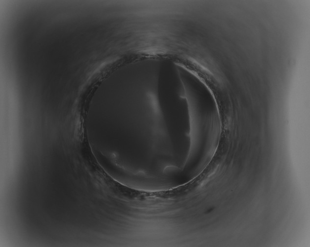 X0000100761398200806261555